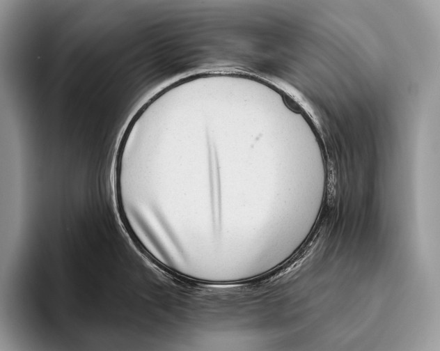 X0000095941343200802081229