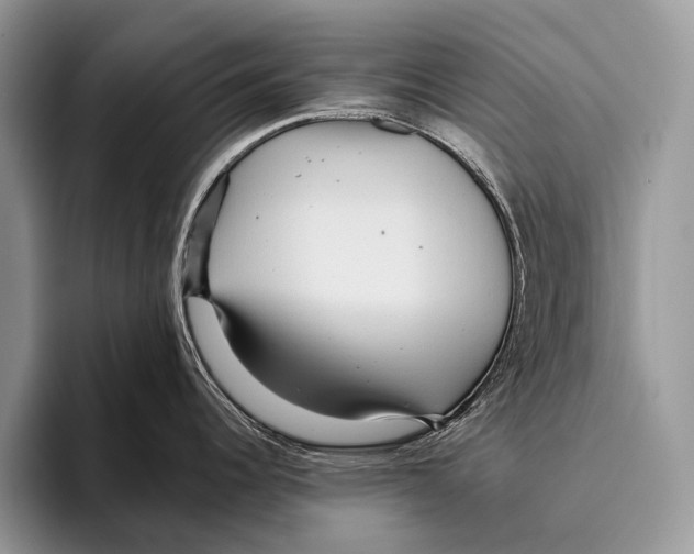 X0000095941344200802081229