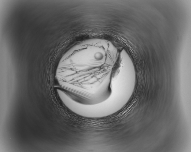 X0000095941345200802081229