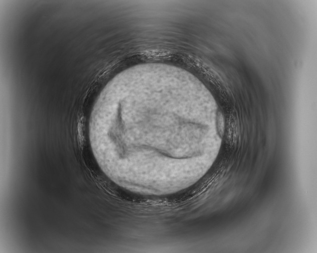 X0000095941346200802081229