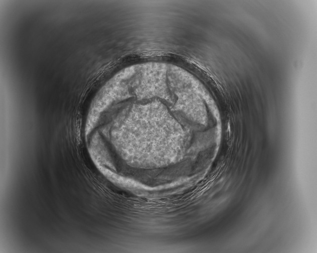 X0000095941348200802081229