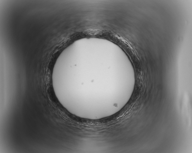 X0000095941349200802081229