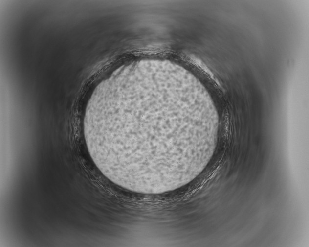 X0000095941350200802081229