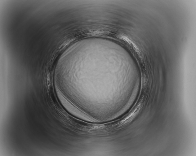 X0000095941353200802081229