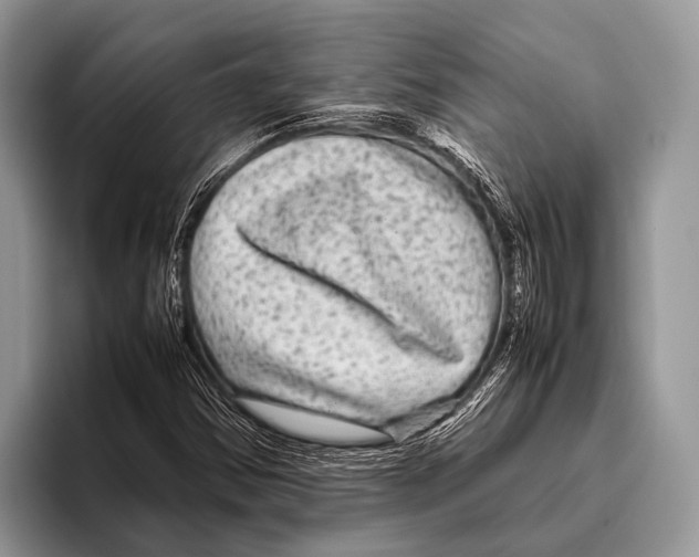 X0000095941354200802081229