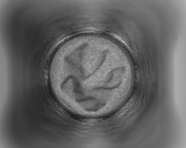 X0000095941355200802081229