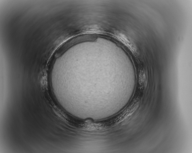 X0000095941356200802081229