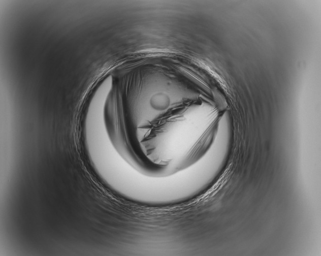 X0000095941357200802081229