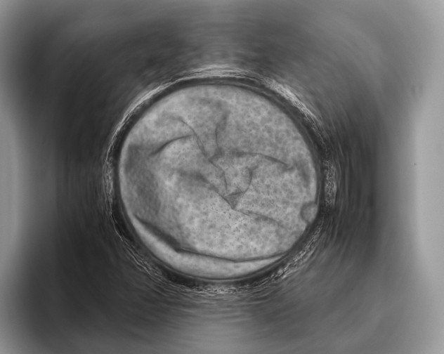 X0000095941358200802081229