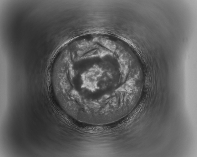 X0000095941359200802081229