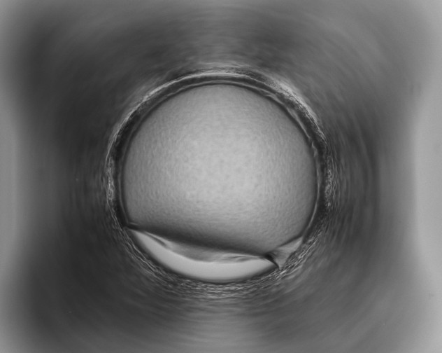 X0000095941360200802081228