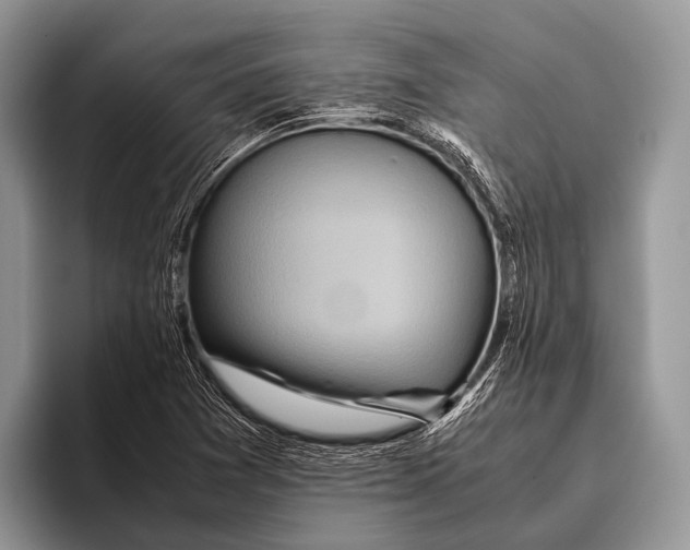 X0000095941361200802081228