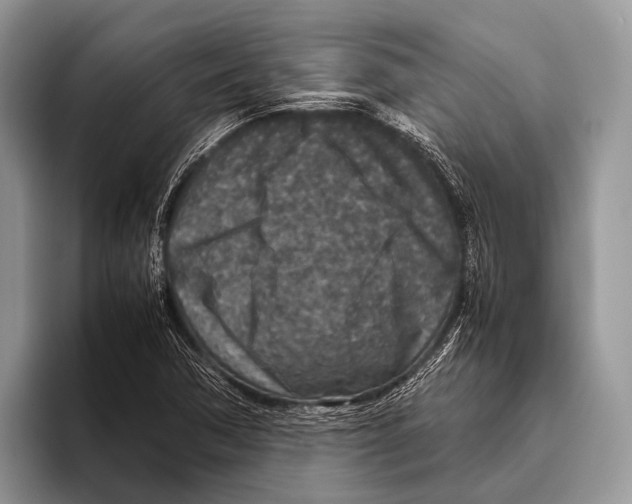 X0000095941362200802081228