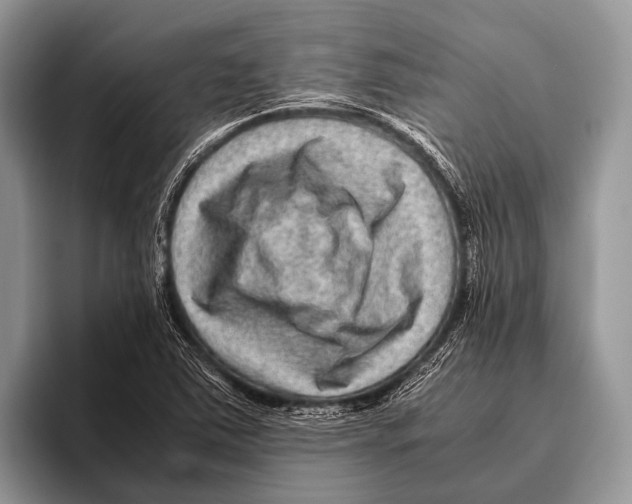 X0000095941363200802081228