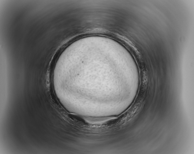 X0000095941364200802081228