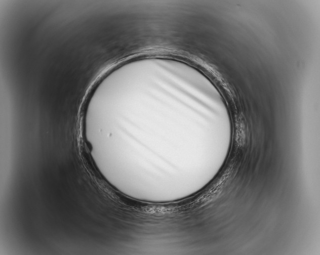 X0000095941366200802081228