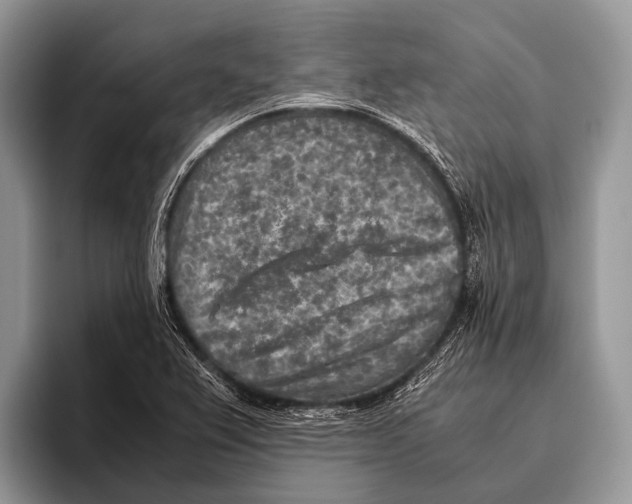 X0000095941367200802081228