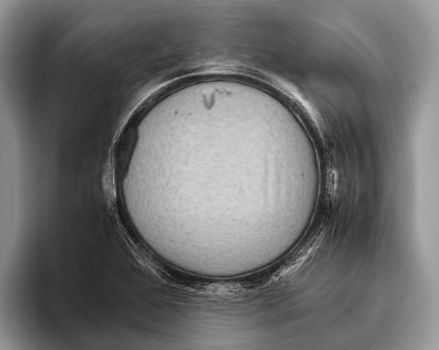 X0000095941368200802081228