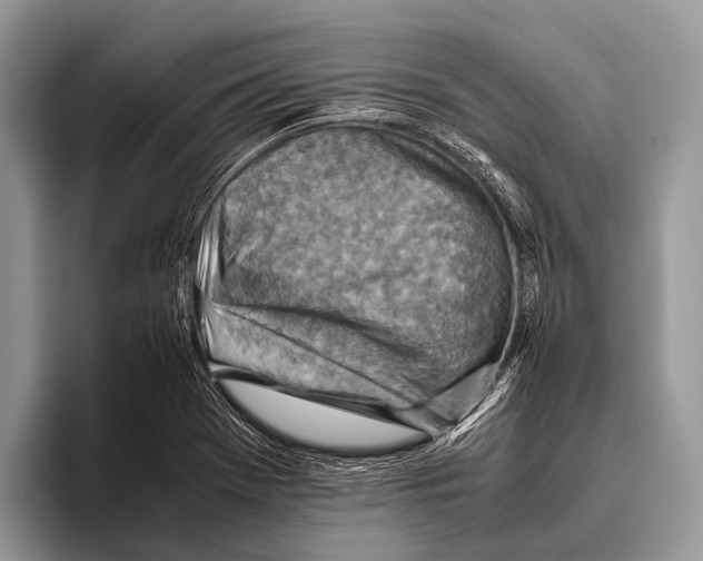 X0000095941369200802081228