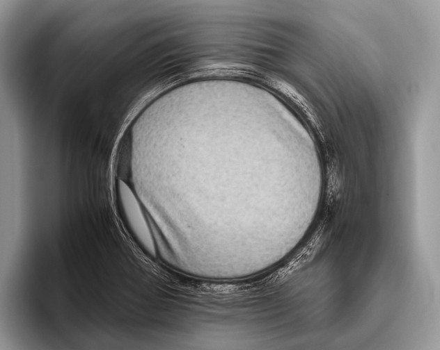 X0000095941370200802081228