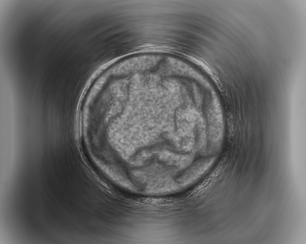 X0000095941371200802081228