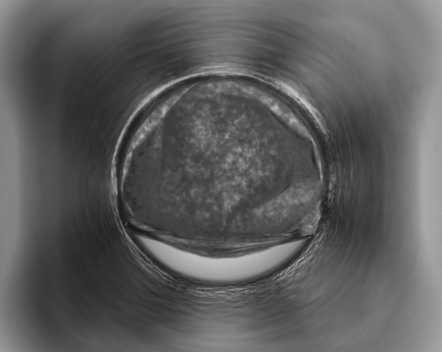 X0000095941372200802081228