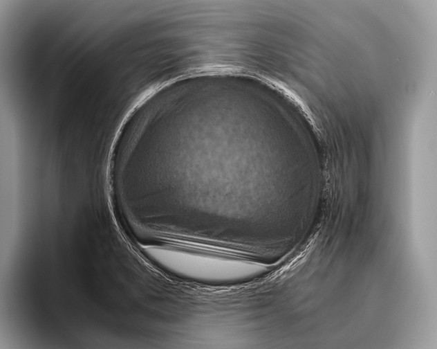 X0000095941373200802081228