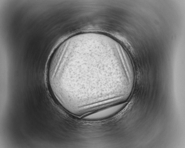 X0000095941374200802081228