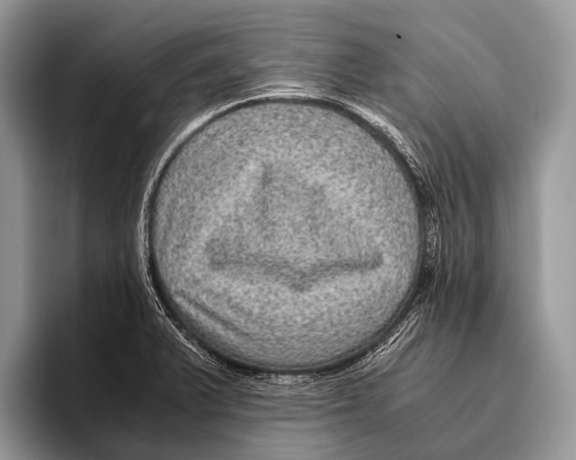 X0000095941375200802081228