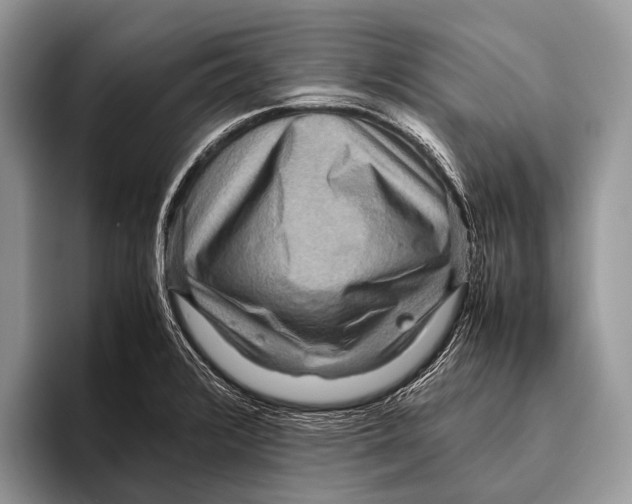 X0000095941376200802081228