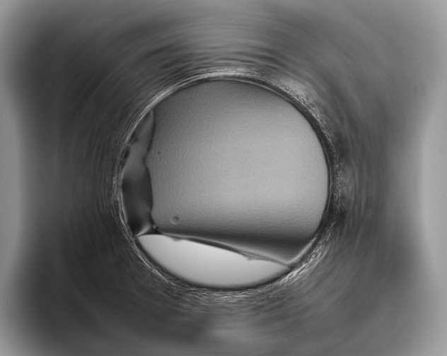 X0000095941377200802081228