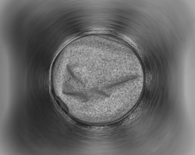 X0000095941378200802081228