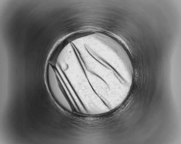 X0000095941379200802081228