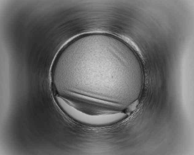 X0000095941380200802081228