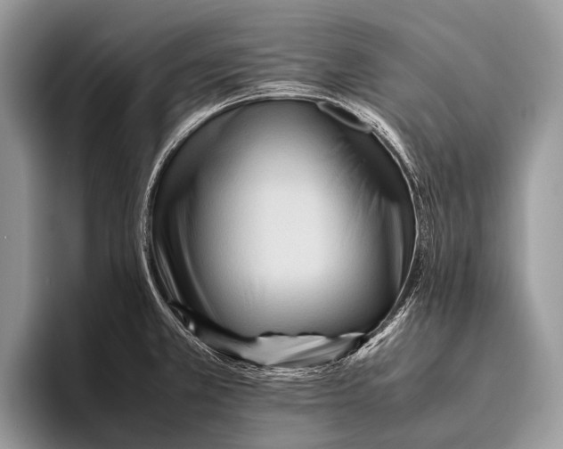 X0000095941381200802081228