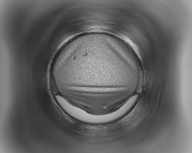 X0000095941384200802081228