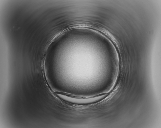 X0000095941385200802081228