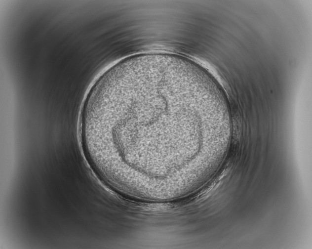 X0000095941387200802081228