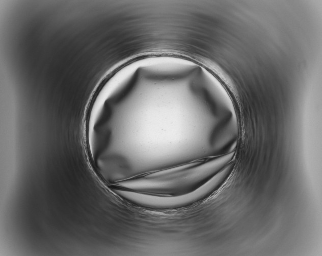 X0000095941388200802081228