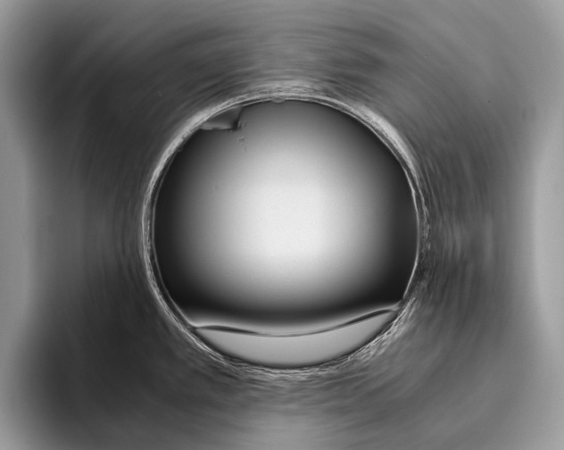 X0000095941389200802081228