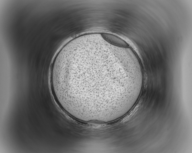 X0000095941390200802081228