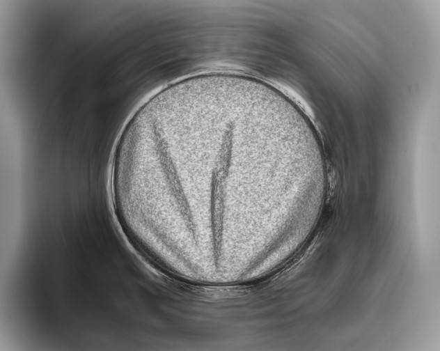 X0000095941391200802081228