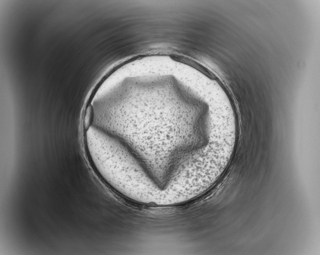 X0000095941392200802081228