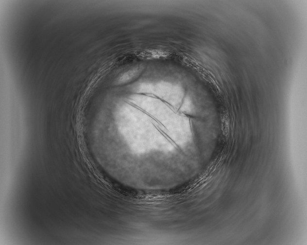 X0000095941393200802081227