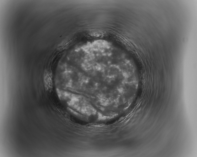 X0000095941394200802081227