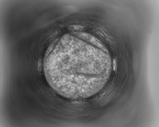 X0000095941395200802081227