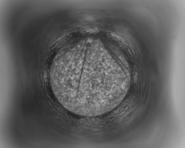 X0000095941397200802081227