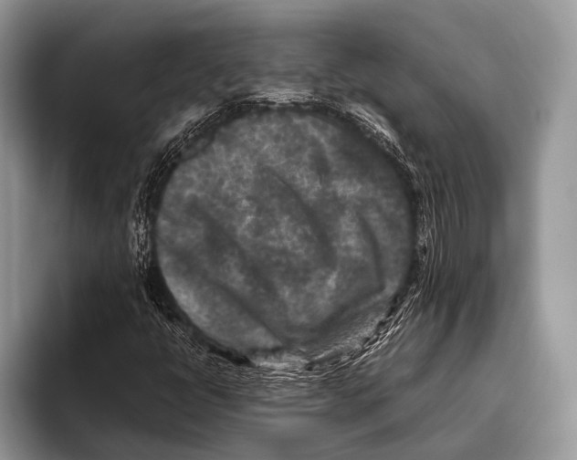 X0000095941398200802081228