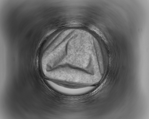 X0000095941402200802081228