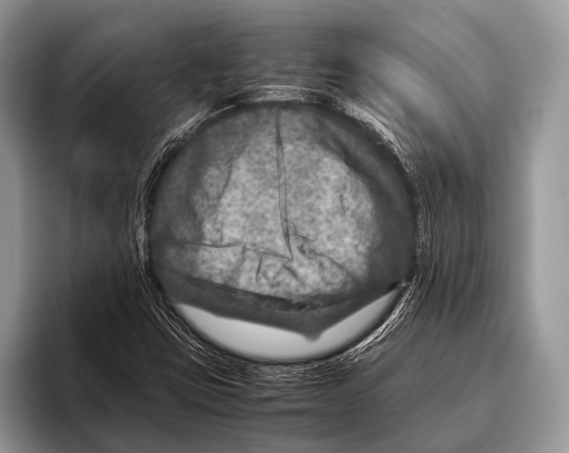 X0000095941403200802081228